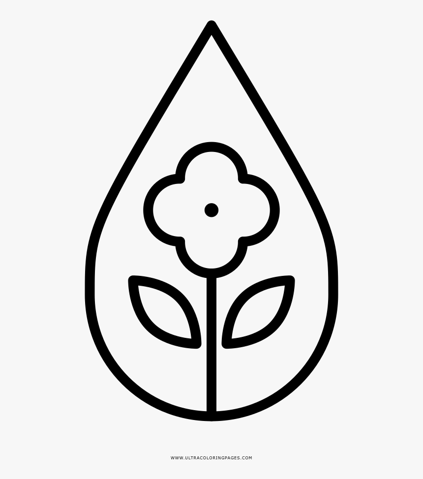 Flor De La Gota De Agua Página Para Colorear - Circle, HD Png Download - kindpng Flor De La Gota De Agua Página Para Colorear - Circle, HD Png Download - kindpng