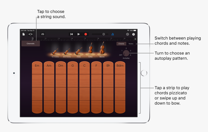 Strings Touch Instrument - String Instrument, HD Png Download, Free Download