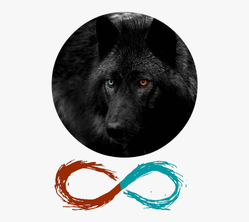 Immortalized Banner Infinity Sign Wolf Red Blue Black, HD Png Download, Free Download