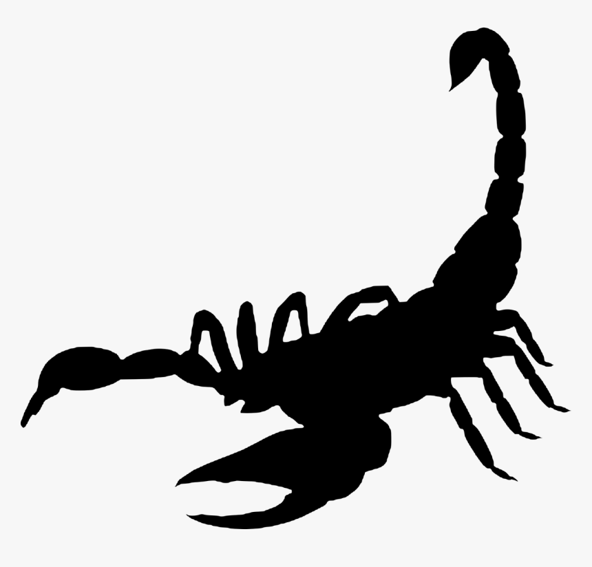 Scorpion,arachnida ,silhouette,free Vector Graphics,free - Dj Maphorisa Scorpion King, HD Png Download, Free Download