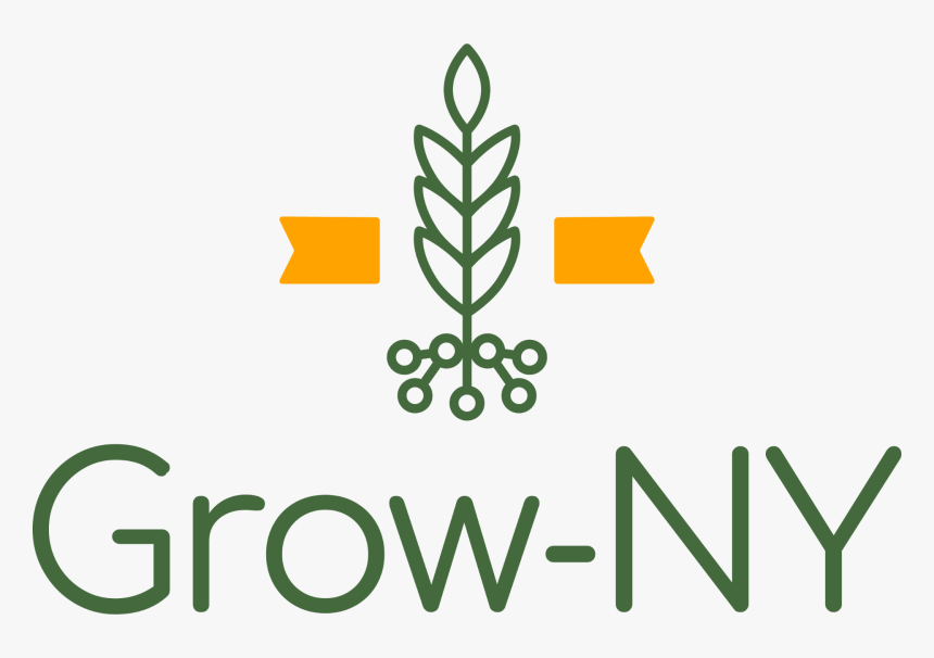 Southern Tier Startup Alliance - Grow Ny, HD Png Download, Free Download