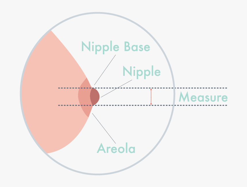 Finding The Right Breast Pump Flange Size - Areola Diagram, HD Png Download, Free Download