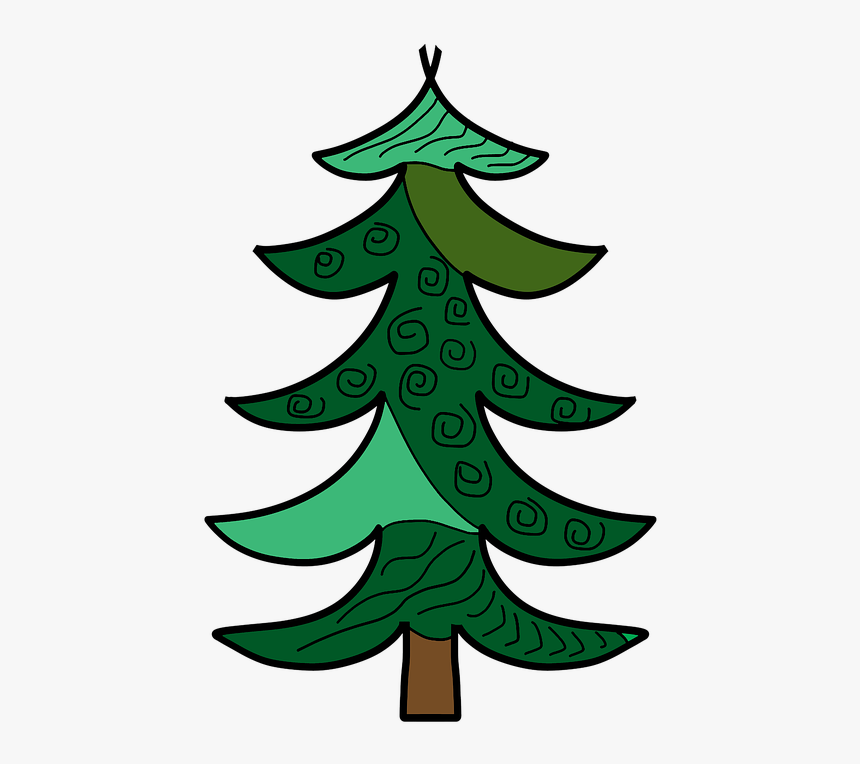 Fir, HD Png Download, Free Download