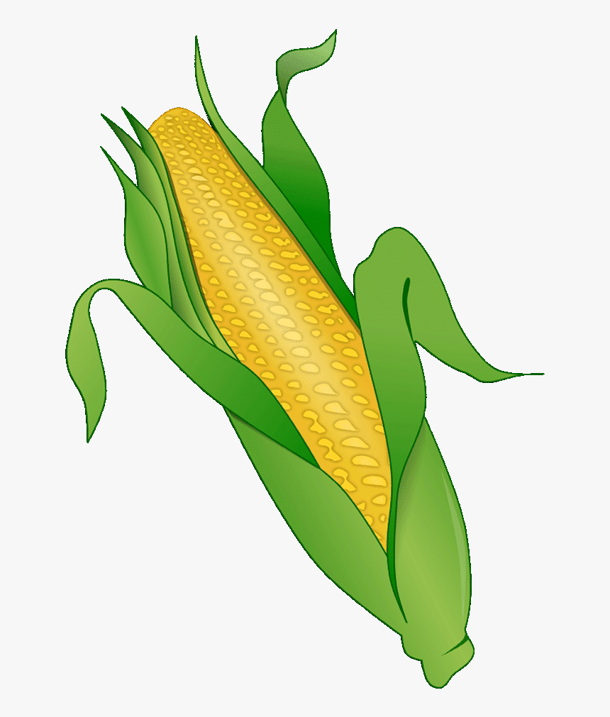 Corn Surprising Clipart For Free Fruit Names A-z With - Illustration, HD Png Download, Free Download