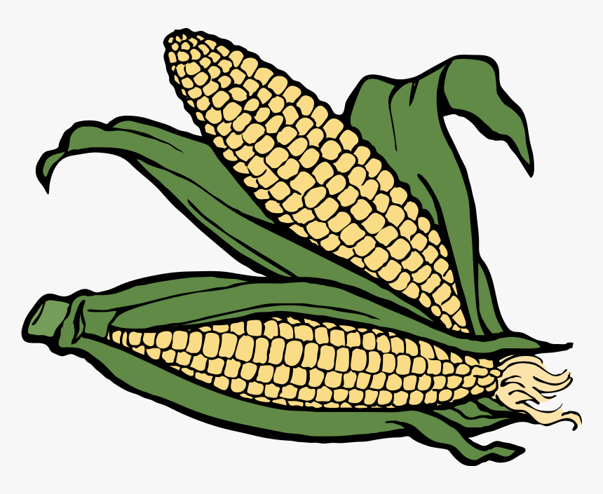 Transparent Corn Husk Clipart - Coloring For Corn, HD Png Download, Free Download