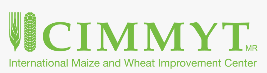 International Maize And Wheat Improvement Center, HD Png Download, Free Download