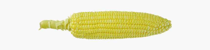 Corn On The Cob, HD Png Download, Free Download