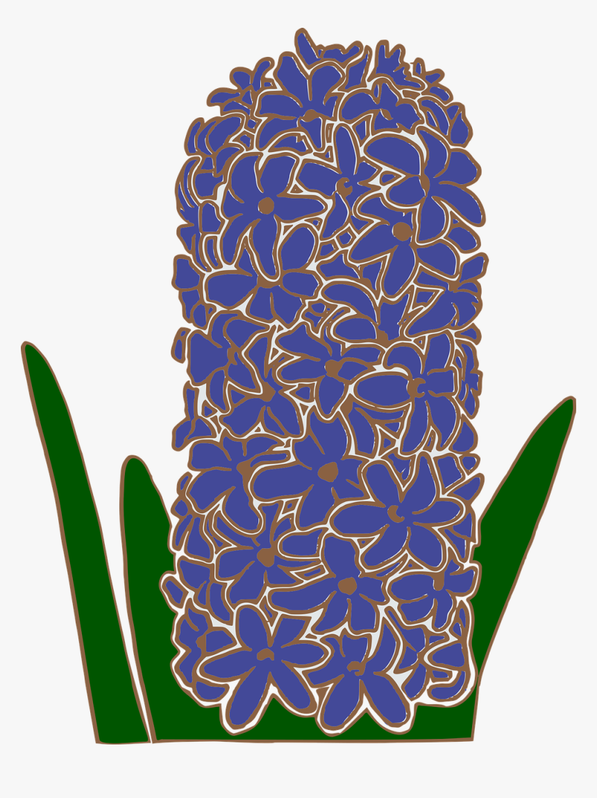Hyacinths Clipart, HD Png Download, Free Download