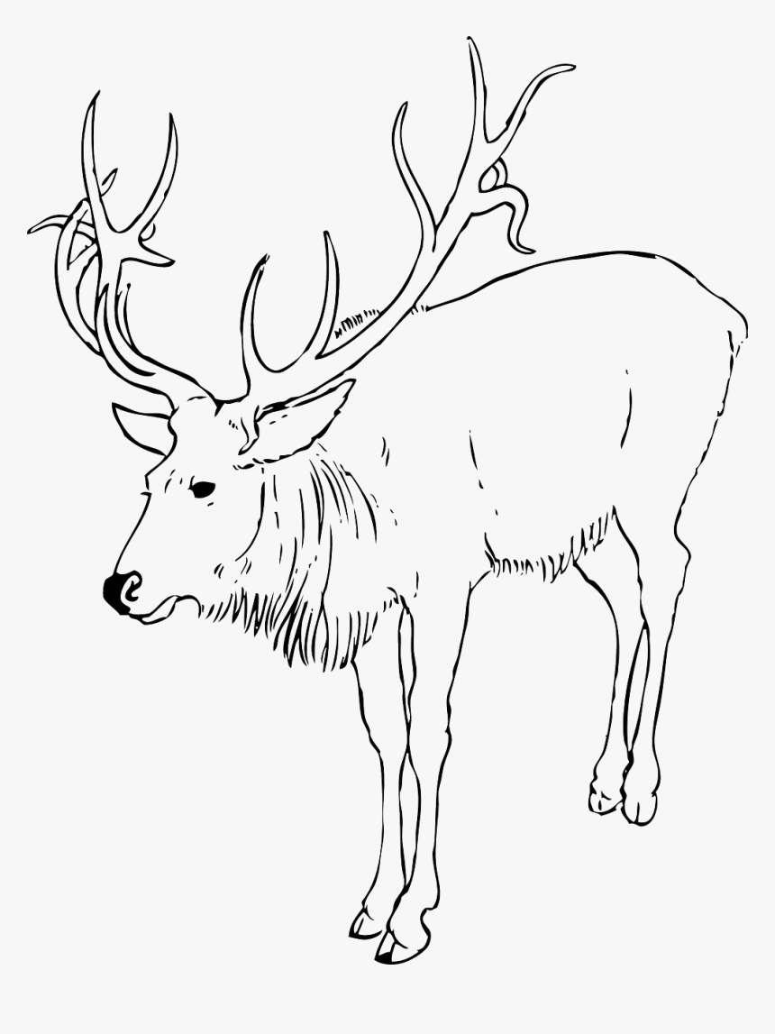 Reindeer Clipart Black And White, HD Png Download, Free Download