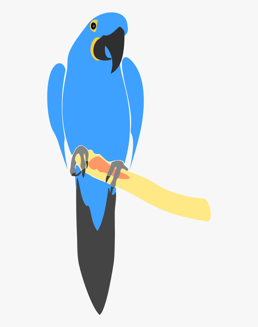 Hyacinth Macaw Drawing - Blue Macaw Vector, HD Png Download, Free Download