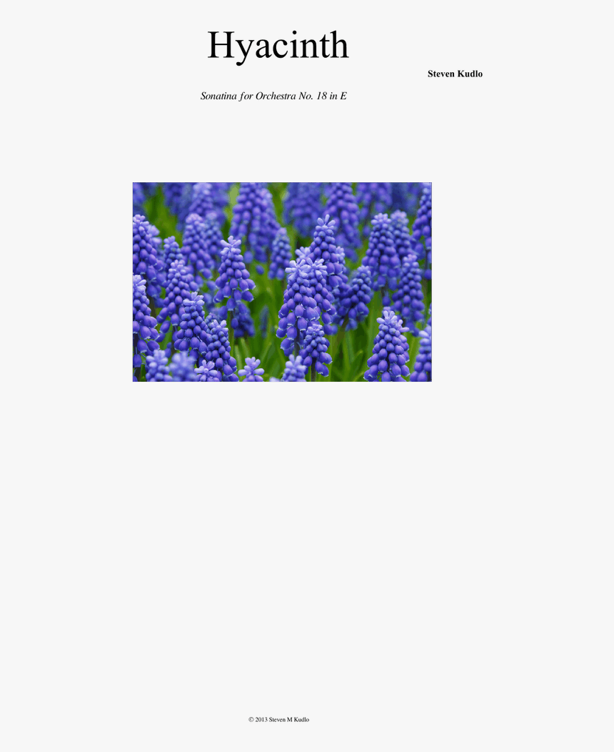 Grape Hyacinth, HD Png Download, Free Download