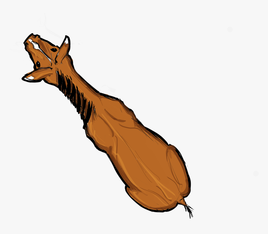 Transparent Horse Png - Kangaroo, Png Download, Free Download