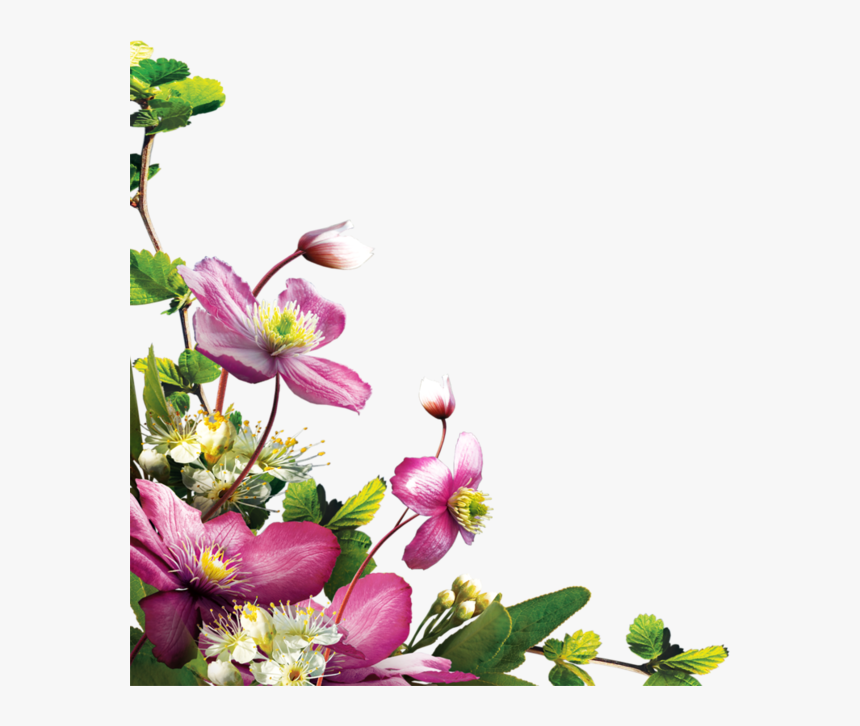 Flower Corner Png Download - Virág Png, Transparent Png, Free Download