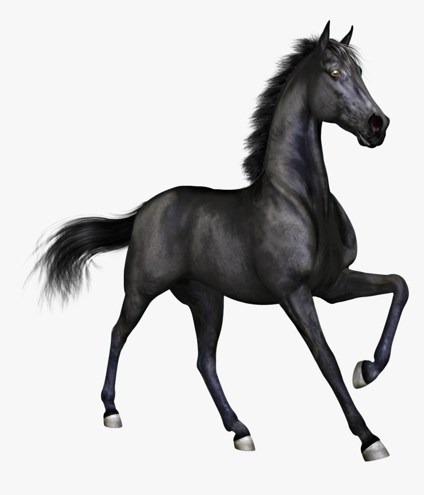 Transparent Horse Clipart - Black Horse Png, Png Download, Free Download