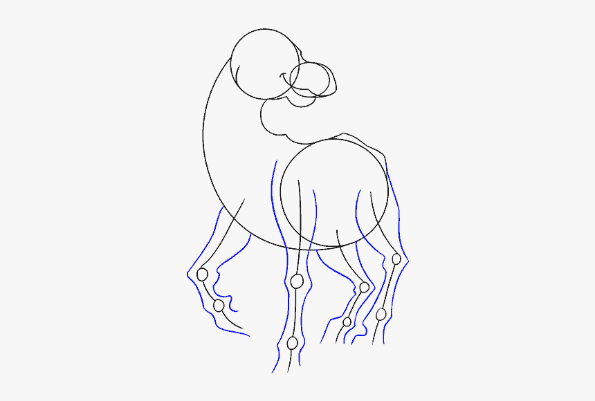 How To Draw Cartoon Horse - Line Art, HD Png Download, Free Download