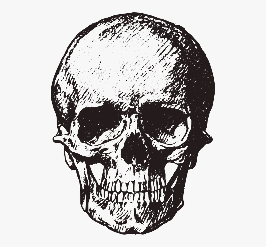 Vintage Skull Png, Transparent Png, Free Download