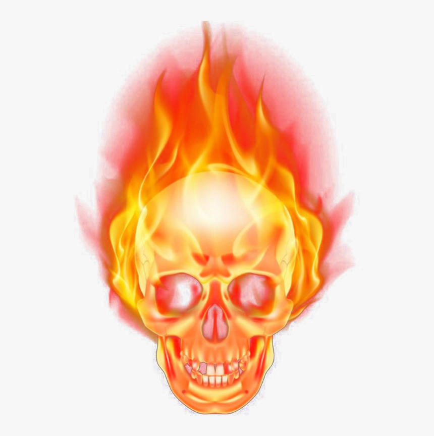 #skull #burning #burn #fire #firing #png #vector #transparent - Fire Images Png Hd, Png Download, Free Download