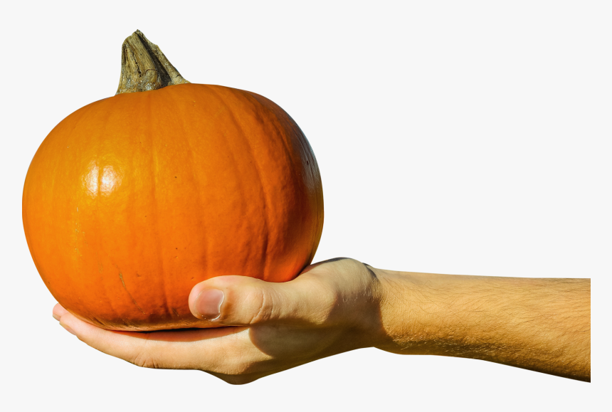 Hand Holding A Pumpkin, HD Png Download, Free Download