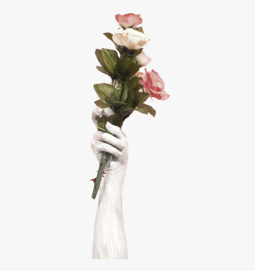 #rose #flower #hand #hold #aesthetic - Hand Hold Flower Png, Transparent Png, Free Download