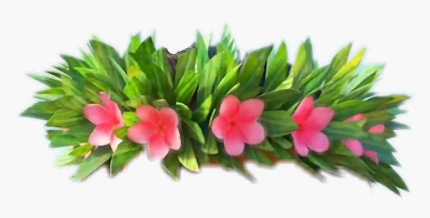 Flower Crowns Png -hawaii Clipart Flower Crown 5 942 - Moana With Flower Crown, Transparent Png, Free Download