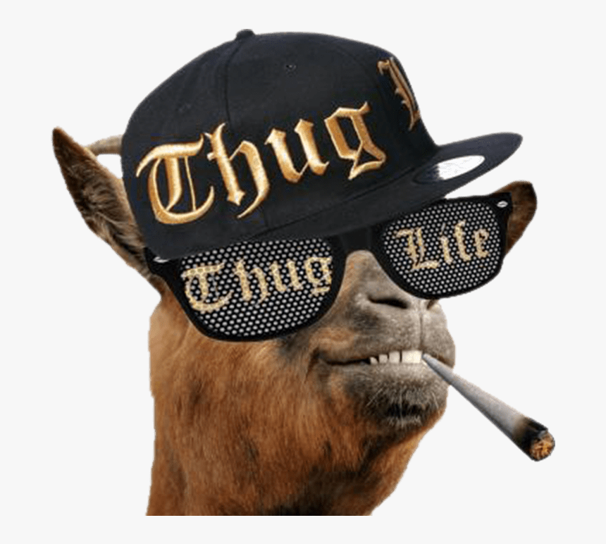 Transparent Thug Clipart - Thug Life Goat, HD Png Download, Free Download