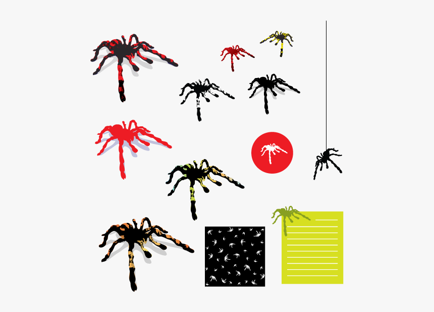 Vector Spider Cs By Dragonart - Spider, HD Png Download, Free Download