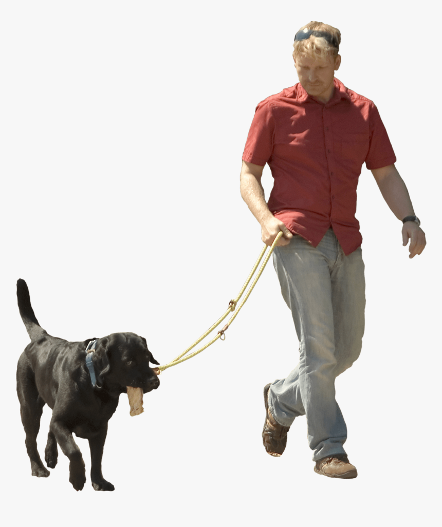 Transparent Walking Dog Png - Man With Dog Png, Png Download, Free Download