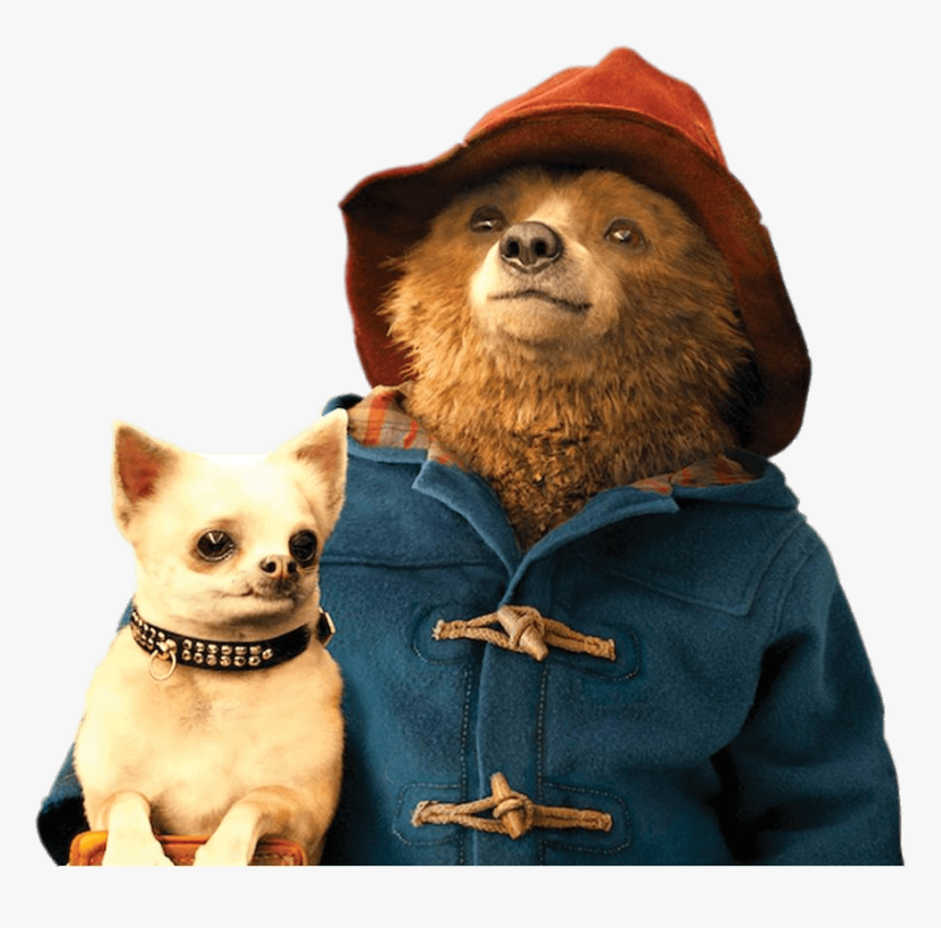 Paddington Bear Holding Small Dog Clip Arts - Paddington Bear And Dog, HD Png Download, Free Download