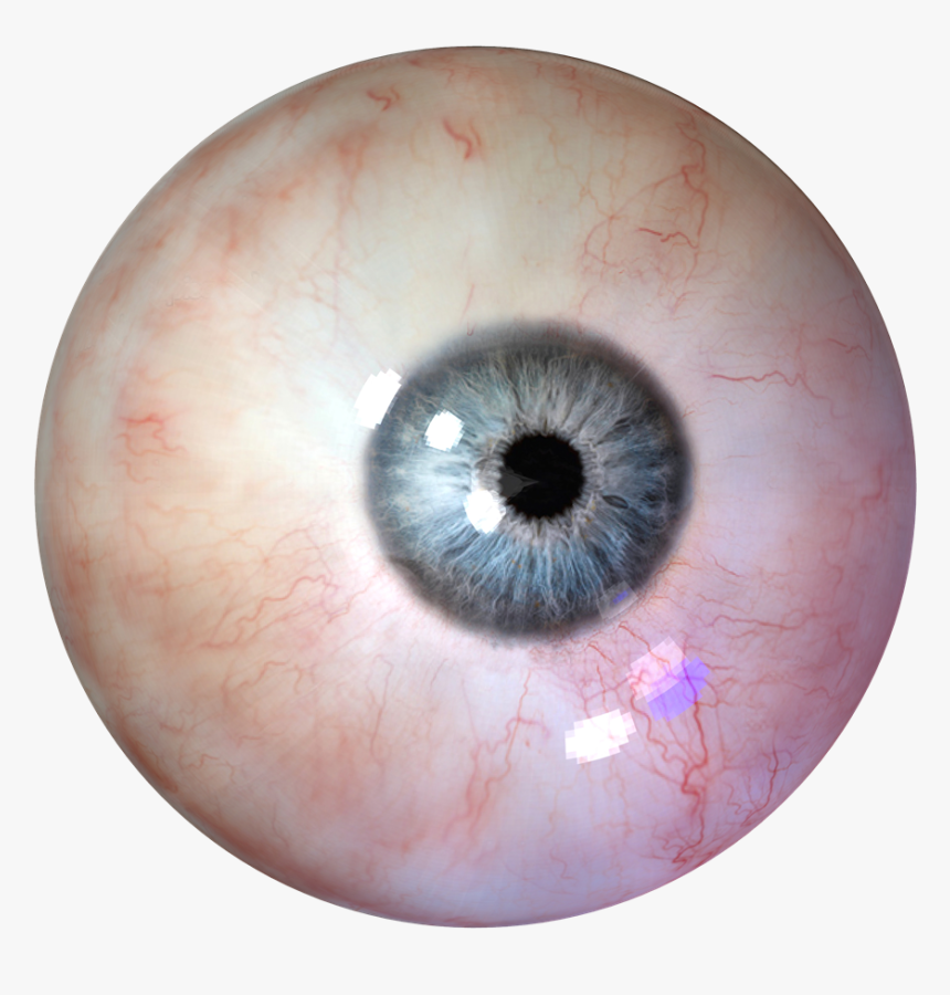 Download Human Eye Png Clipart For Designing Purpose - Eyeball Png, Transparent Png, Free Download