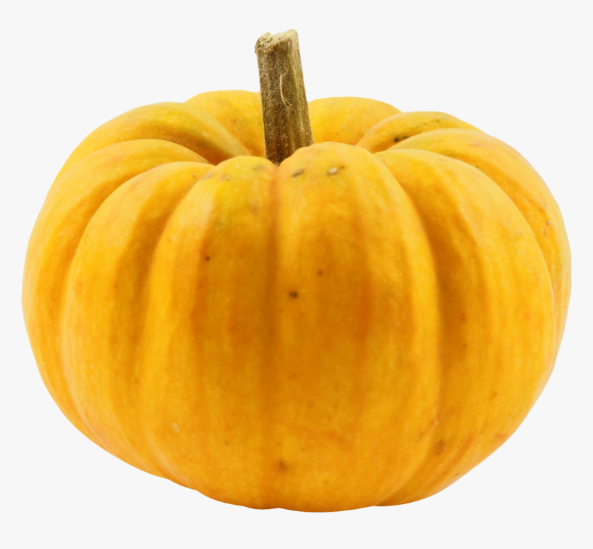 Pumpkin Png Image - Pumpkin, Transparent Png, Free Download