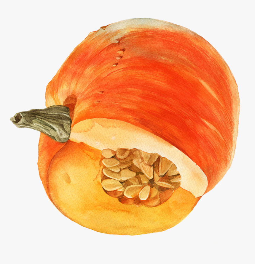 Transparent Watercolor Pumpkin Png - Pumpkin, Png Download, Free Download