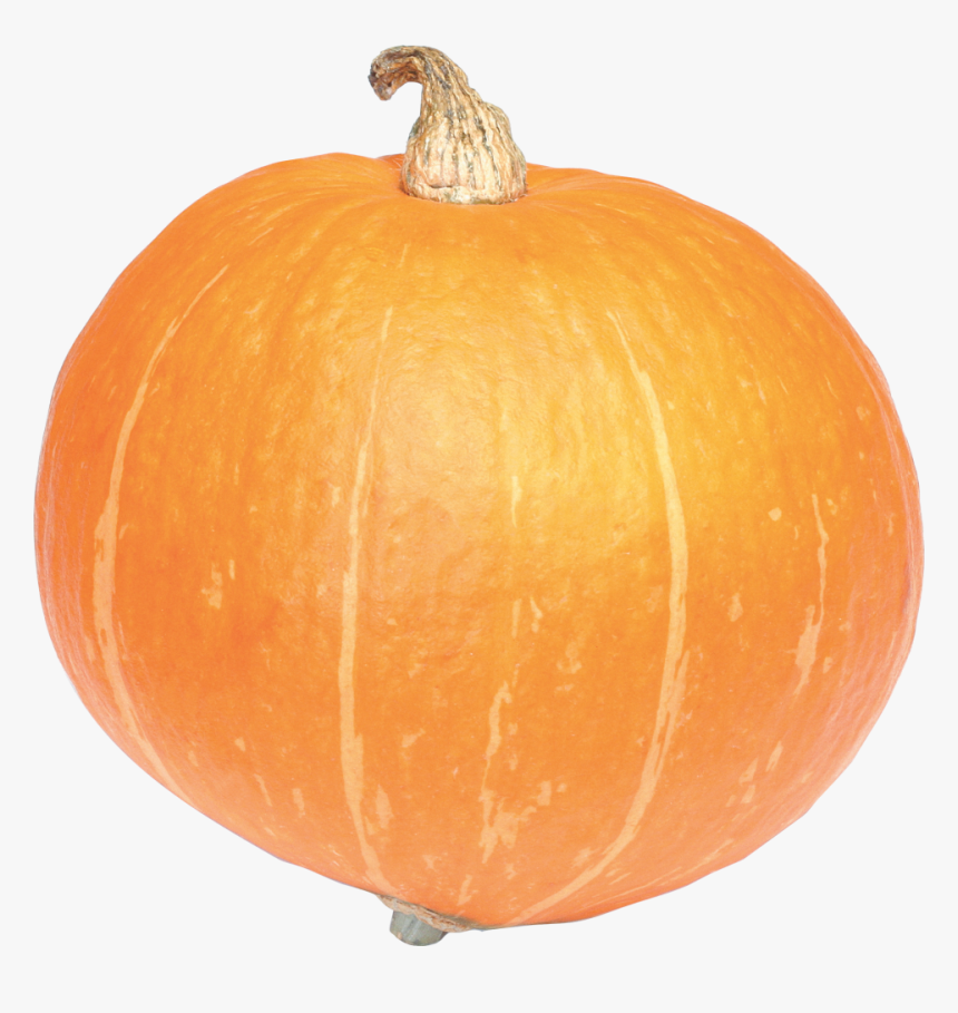 Pumpkin Png Free Download - Calabaza Png, Transparent Png, Free Download