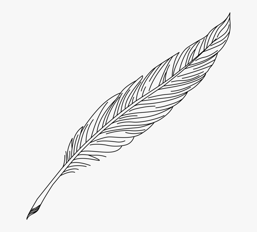 Line Art,plant,leaf - Transparent Feather Pen Clipart, HD Png Download, Free Download