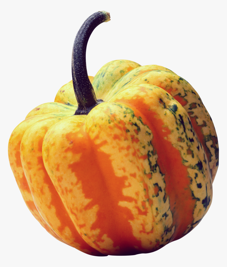 Orange Pumpkin Transparent Backgroimd, HD Png Download, Free Download