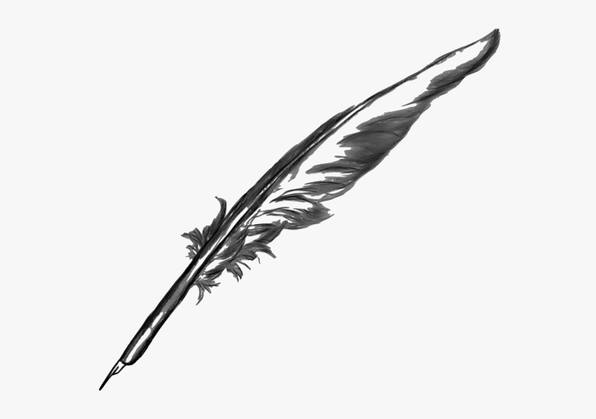 Feather Pen PNG Transparent Images Free Download