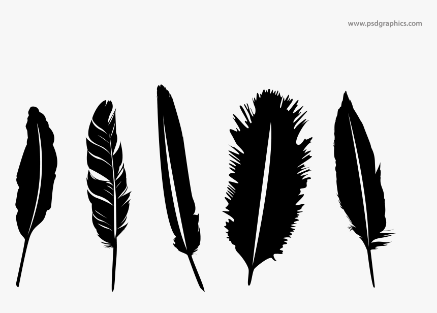 Png Images Of Black Feathers Falling - Transparent Background Vector Feather Png, Png Download, Free Download