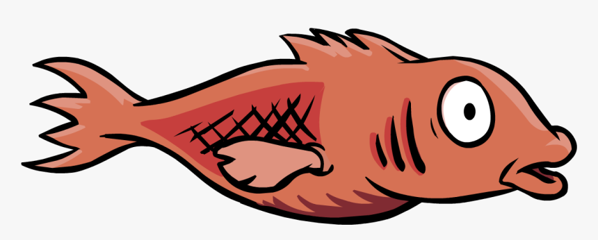 15 Mullet Vector Fish For Free Download On Mbtskoudsalg - Club Penguin Red Fish, HD Png Download, Free Download