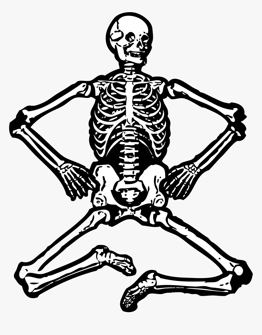 Bones Clipart Weak Bone - Human Skeleton Clipart, HD Png Download, Free Download