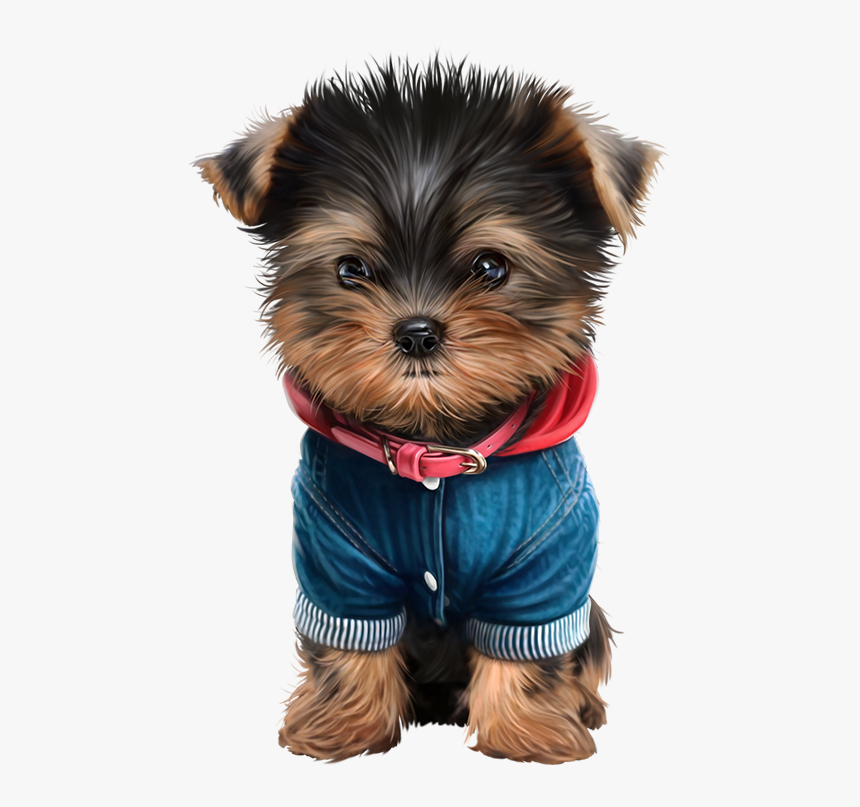 Yorky, Cute Puppies, Cute Dogs, Dogs And Puppies, Doggies, - Cute Yorkie Transparent Background, HD Png Download, Free Download