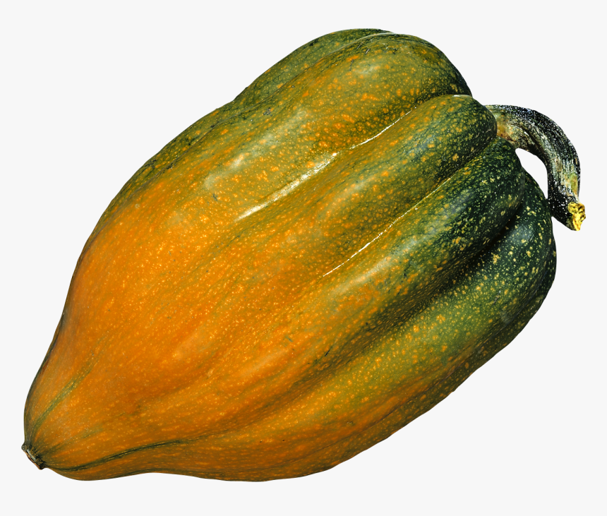 Pumpkin Png Image - Acorn Meaning In English, Transparent Png, Free Download