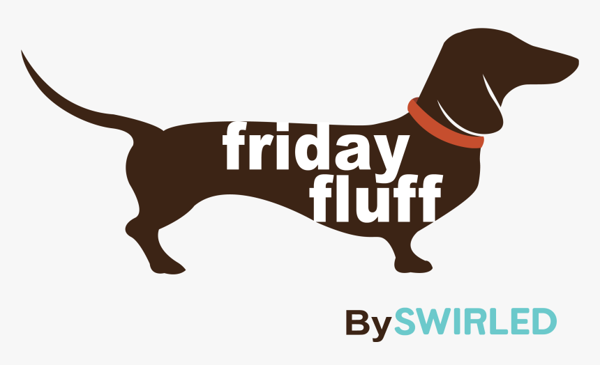 Dachshund, HD Png Download, Free Download