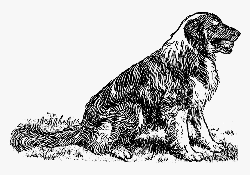 Guard Dog Vintage Illustration, HD Png Download, Free Download
