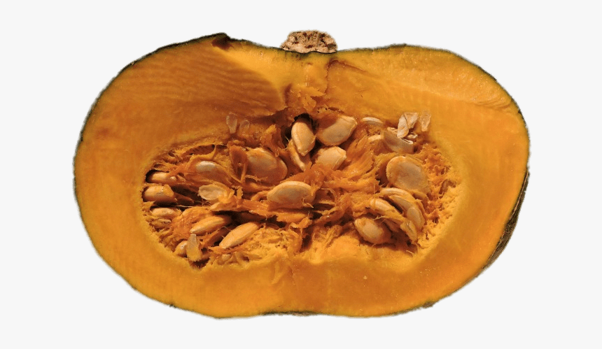 Half Pumpkin With Visible Seeds - Penis Size Bigger Pumpkin Green, HD Png Download, Free Download