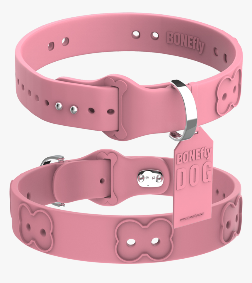 Cute Dog Collars Png, Transparent Png, Free Download