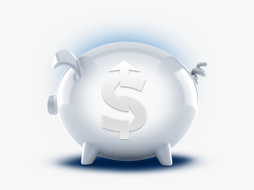 3d Dollar Sign Png - Domestic Pig, Transparent Png, Free Download