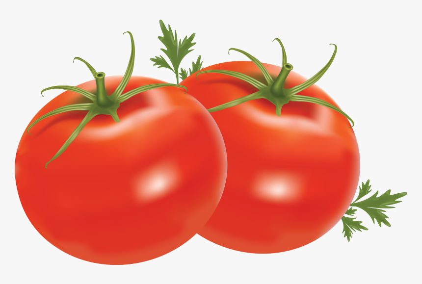 Healthy Food Clipart Transparent Background - Tomato Png, Png Download, Free Download