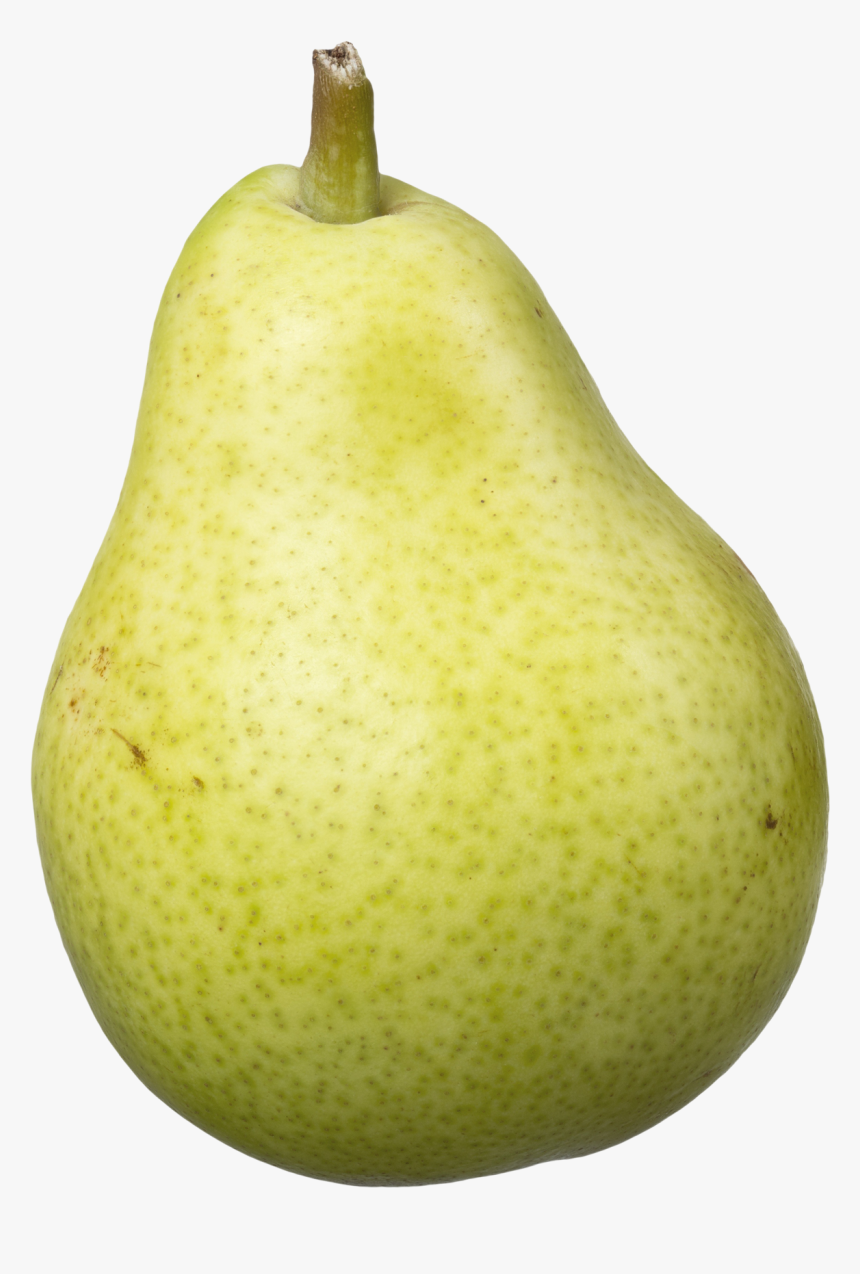 Pear Png, Transparent Png, Free Download