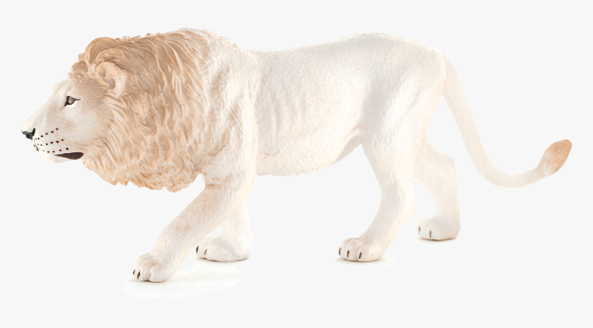 Lion, HD Png Download, Free Download