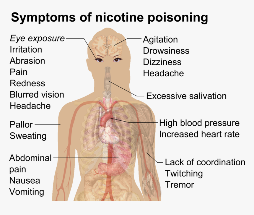 Nicotine Poisoning, HD Png Download, Free Download