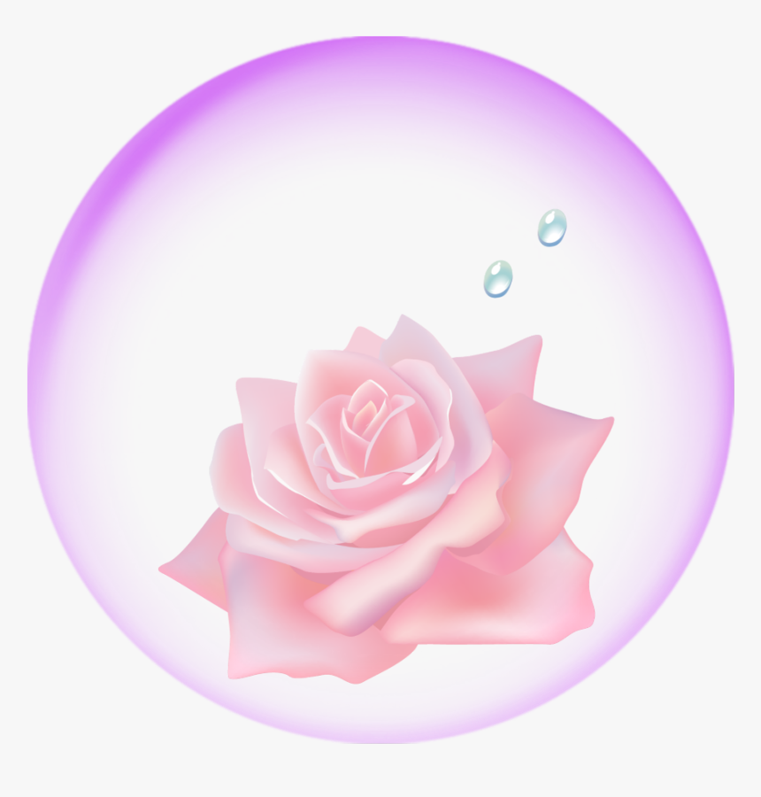 #mq #pink #rose #flowers #bubbles #bubble - Flower In Bubbles Png, Transparent Png, Free Download